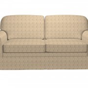 A0015D on a Couch