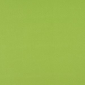 Light Green Solution Dyed Acrylic Outdoor Fabric By The Yard