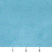 C089 Ruler Image