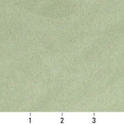 C090 Ruler Image