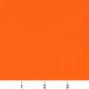 C104 Ruler Image