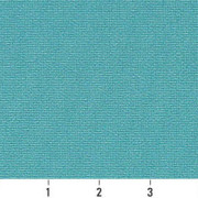 C109 Ruler Image