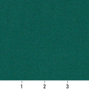 C111 Ruler Image
