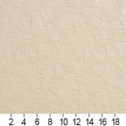C453 Ruler Image