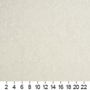C466 Ruler Image