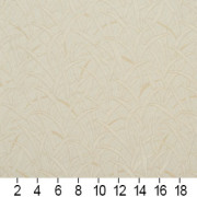 C467 Ruler Image