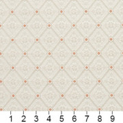 D139 Ruler Image