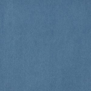 E004 Blue Jean, Preshrunk Washed Denim Fabric By The Yard