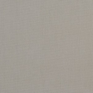 Light Grey Solid Cotton Preshrunk Canvas Duck Upholstery Fabric by The Yard