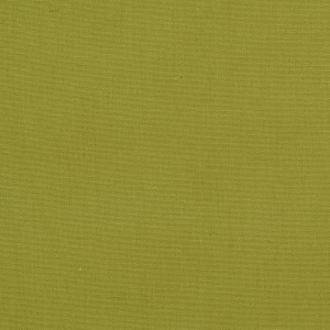 Light Spring Green Cotton Preshrunk Canvas Duck Upholstery Fabric by The Yard
