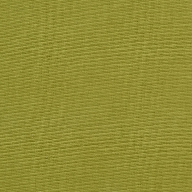 Light Spring Green Cotton Preshrunk Canvas Duck Upholstery