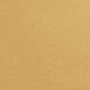 G539 Shiny Gold Recycled Leather Look Upholstery By The Yard