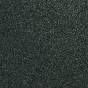 G519 Forest Green Recycled Leather Look Upholstery