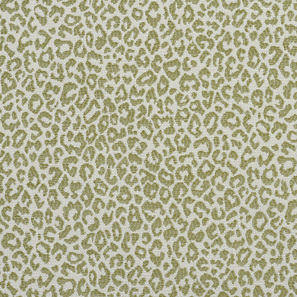 A591 Light Green Leopard Woven Textured Upholstery Fabric