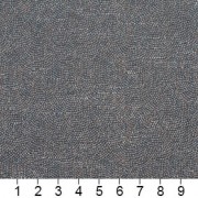 D448 Ruler Image