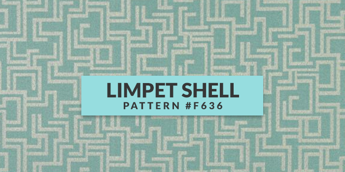 Limpet Shell